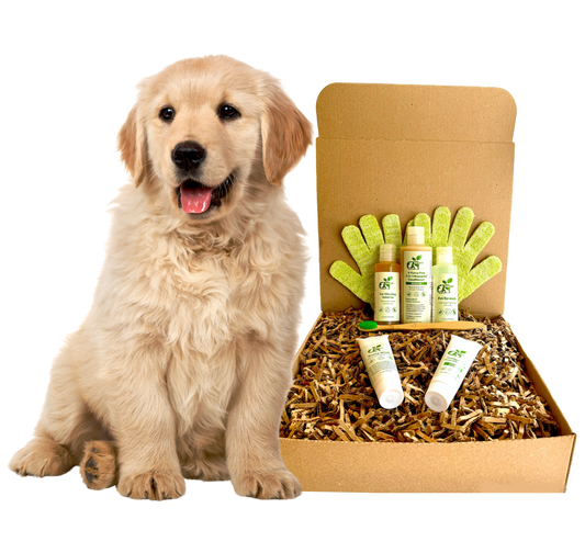 Restorative Grooming & Wellness Kit for Dogs