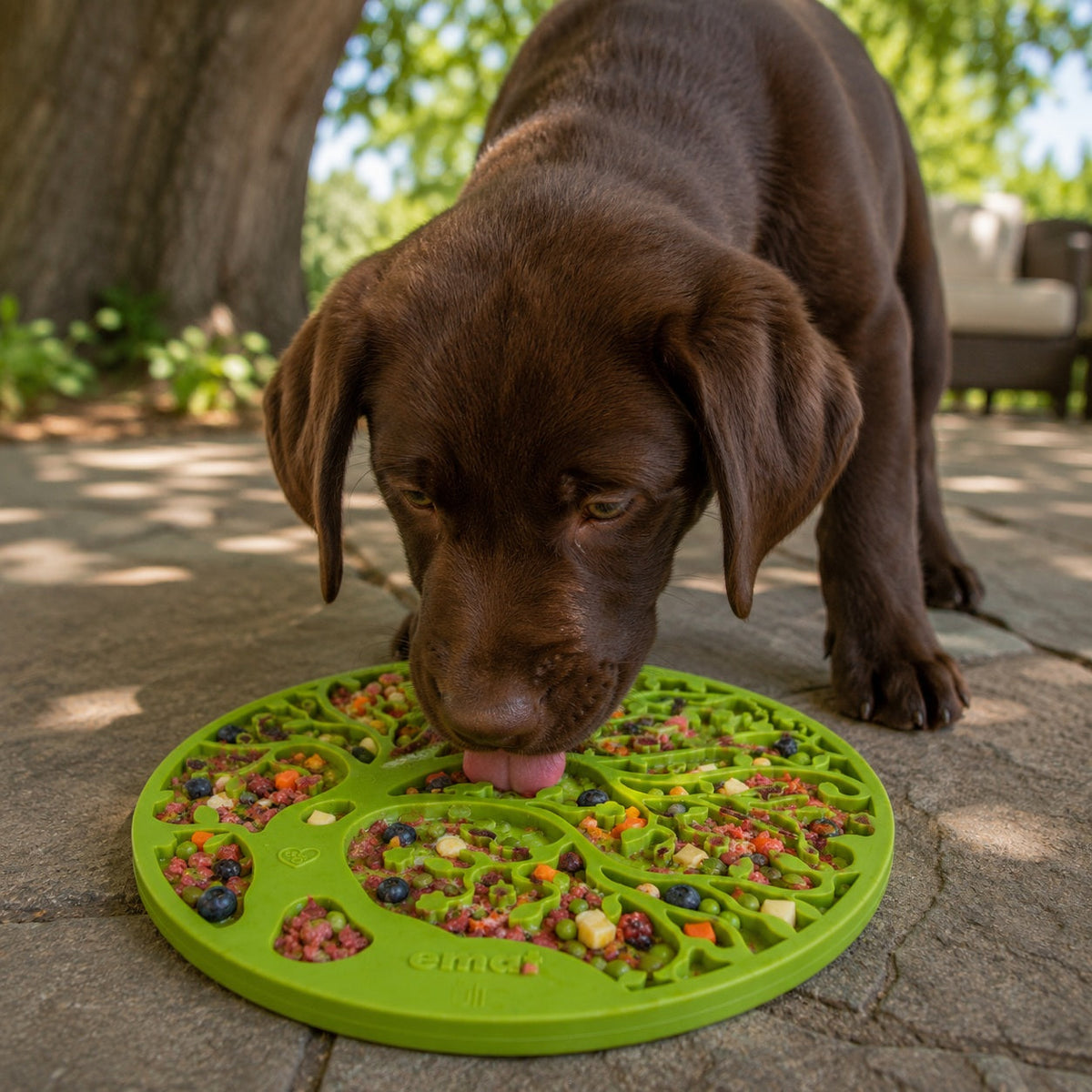 Tree of Life eMat - Enrichment Lick Mat for Dogs - With Suction Cups | Tree Design | USA Made