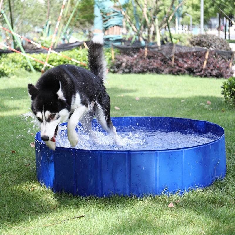 Foldable Portable Bathtub for Small Dogs